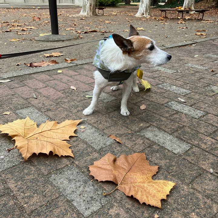 17e16c11 9c02 4963 ab6c a8c0ff8ed3a7 1669418457377