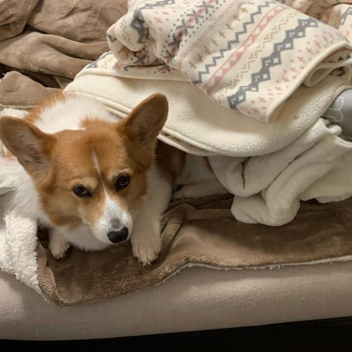 17e16dfd fb46 4431 8dc4 b2dd055037e5 1604189395032