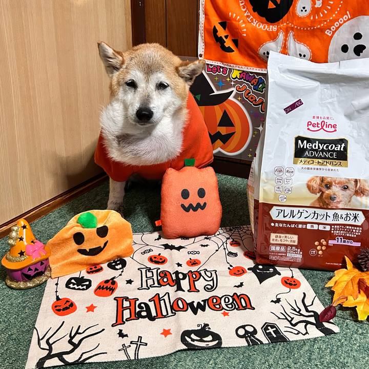 17e1eb44 ca79 4c74 82d3 8732bdb23fe3 1760949567595