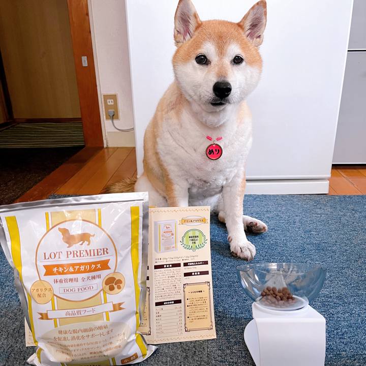 17e1ed72 282a 4200 b7f6 a8e9667a8a9a 1716953498777