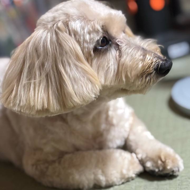 17e1eed8 e33a 4cce af68 3da918559714 1760402035908