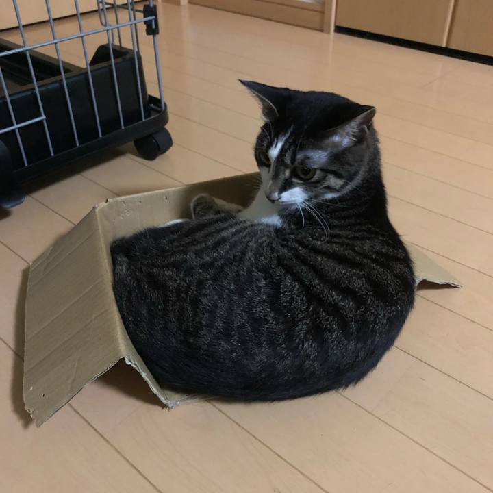 17e23c2c 6f5f 429a aedb 5403878888ca 1563445927526