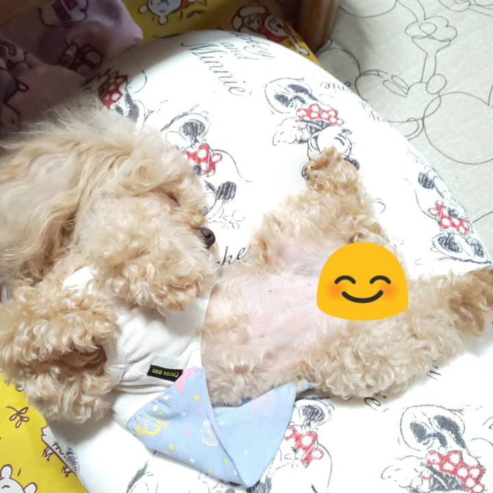 17e24a3b 7590 4091 8fd6 2afa092da87a 1598262503008