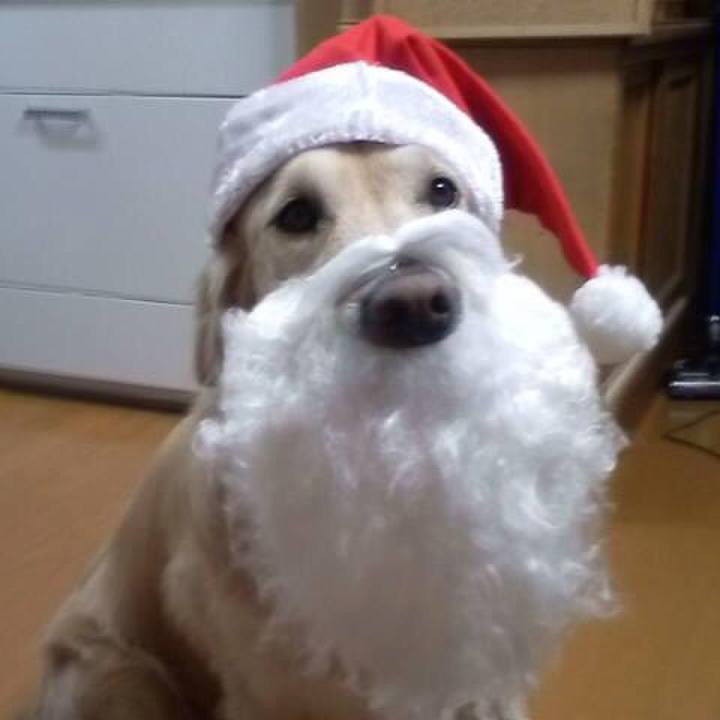 17e258e2 06f9 4d2f a218 782f3910c848 1513742779564