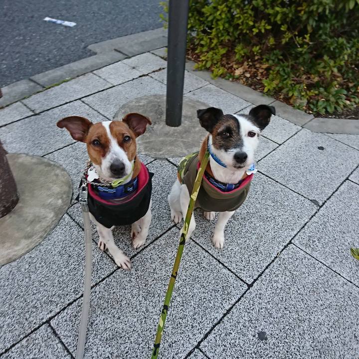 17e2a064 0e99 4550 bd13 dd64e1b8ade3 1550095280902