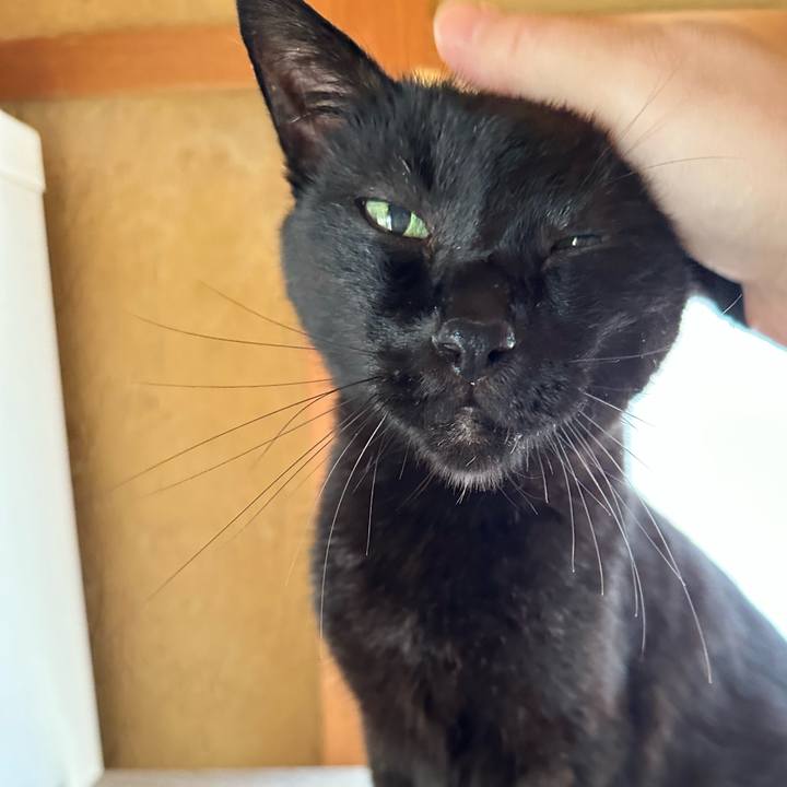 17e2b021 e0c9 4c18 a22f fe30ffcd568e 1691365203972