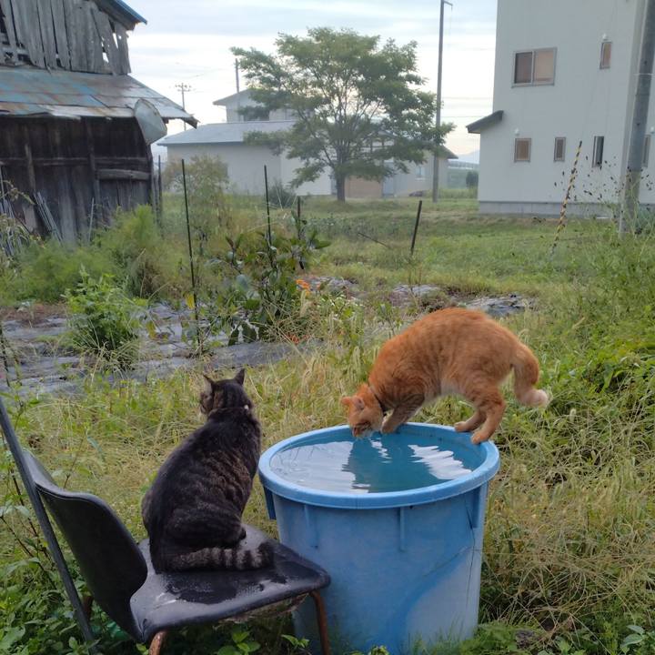 17e2b22e 64d9 47cc 8762 93955cd8449d 1664145595171