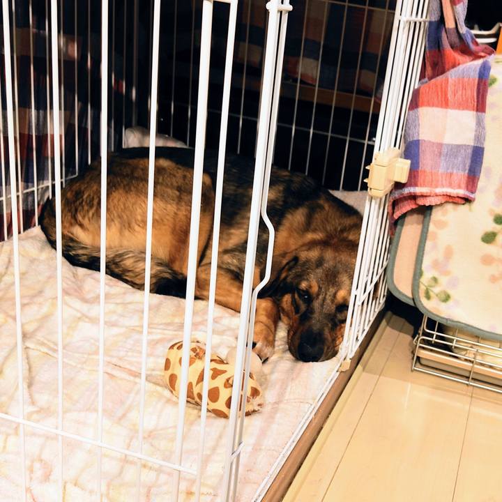 17e2e4d0 10eb 433e abcf 613ec8204a29 1696247943833