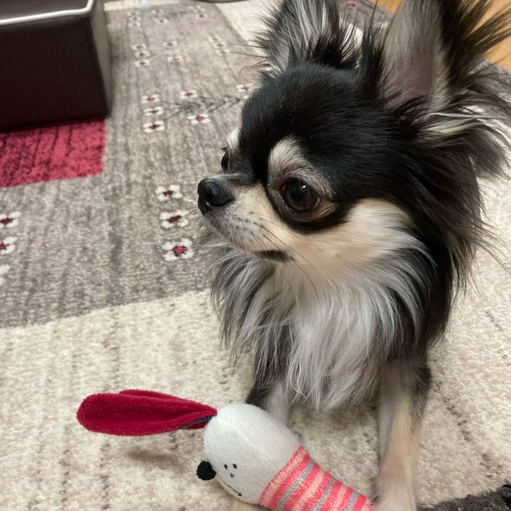 17e2f1f5 278d 4738 b630 1d285f352cd3 1615610771877