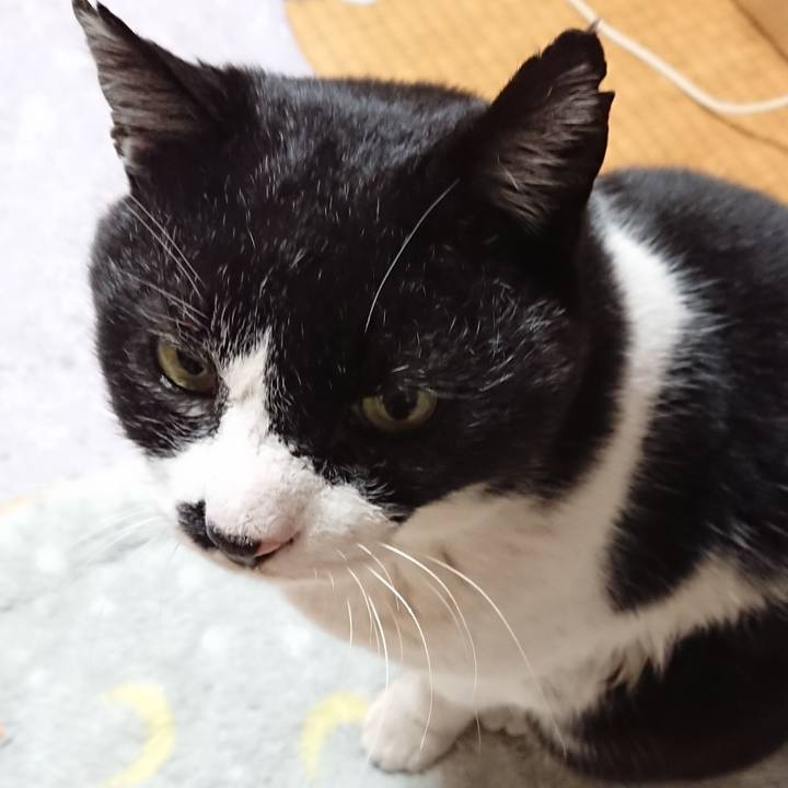 17e2faad 9dcf 4367 9ce7 0e6f5efb18b2 1643843742491