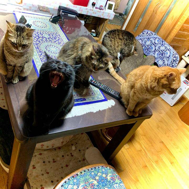 17e2ff84 b9e3 4bbc b7f9 c4c5e1918d93 1674564137446