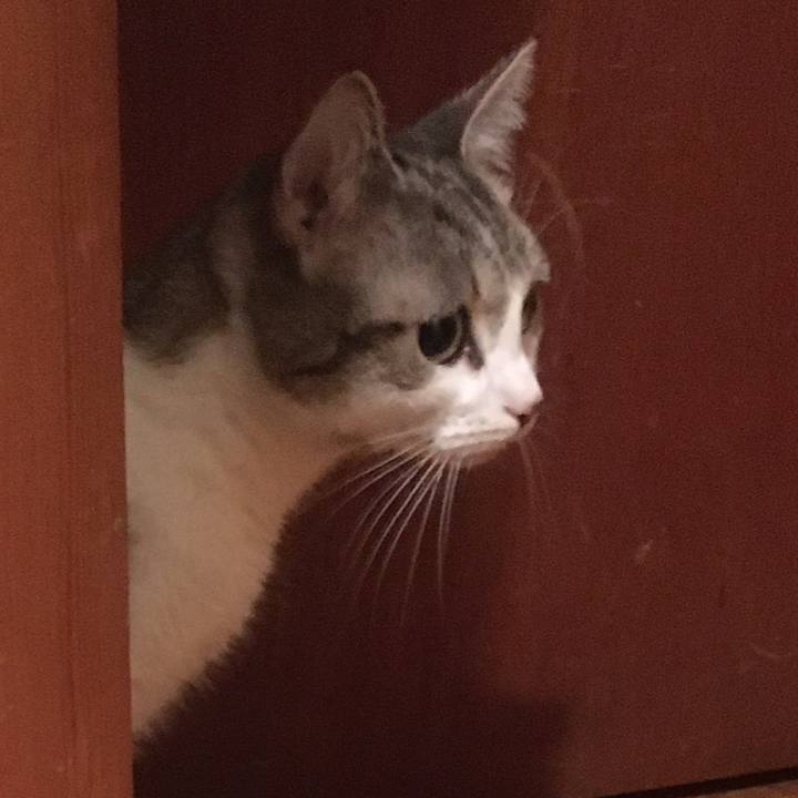 17e31aac 4529 4db0 9bc4 45daaf4518df 1632876071398