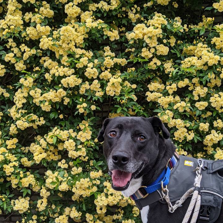 17e31d54 a98f 4403 96fa 054576586b30 1650245037493