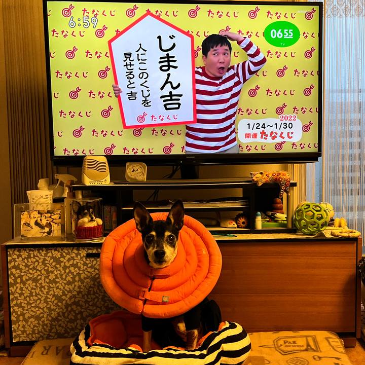 17e31ef6 d44d 432d b5e1 de9bfd650899 1642975646350