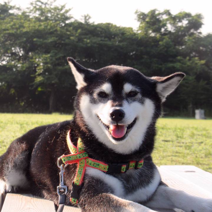 17e36d1e 42fe 4464 a8c9 a9814e1916f2 1628205261073