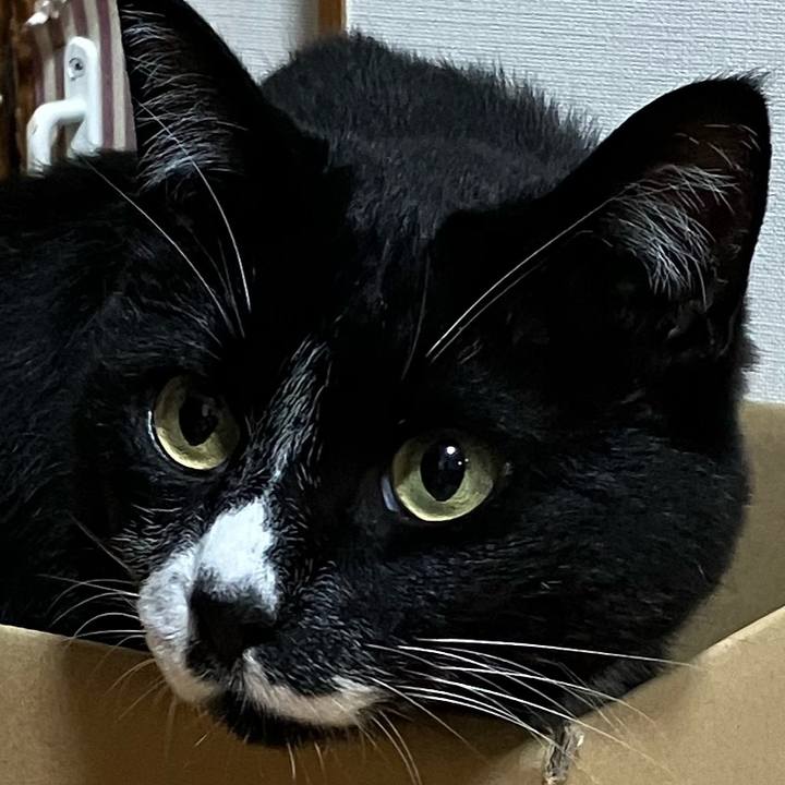 17e37f7c 6068 4ffb a0e1 111f724e02e9 1761982325093