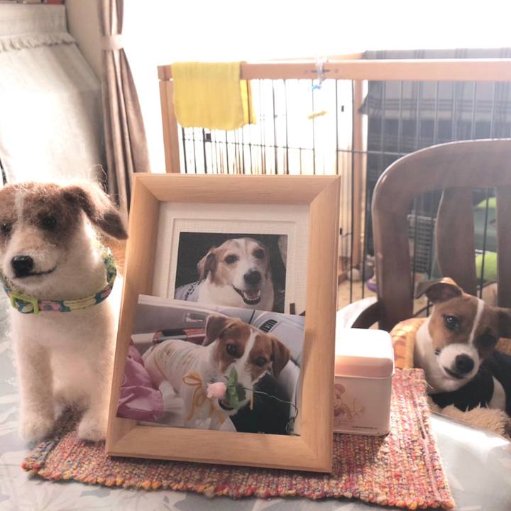 17e3908e bf7b 4235 b60b 4c15faead1d4 1517014022314