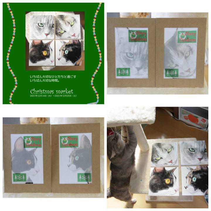 17e3a2cd 5efe 4681 be8f 66c85d6ff5ff 1638544088610