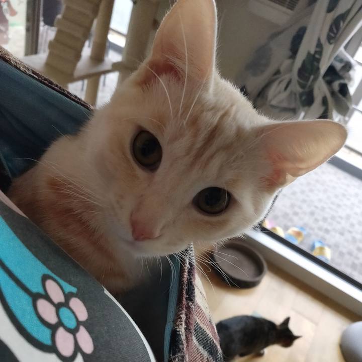 17e3c57c e000 4613 8c6d b2de93531580 1636851421685