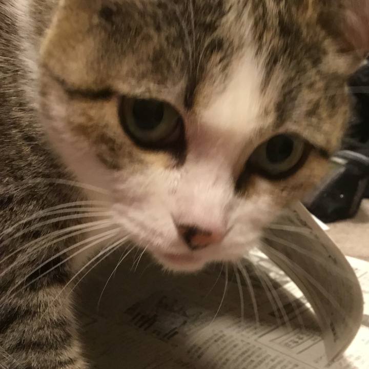 17e3d13b d01d 46e1 af15 241083c3994b 1765925497137