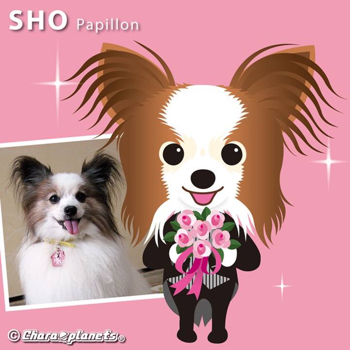 17e45806 cc97 4f87 a709 bd65922889ed 1564887281118