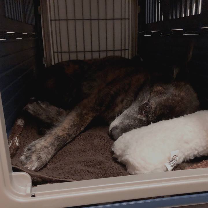 17e467bb d6bf 4fb9 bed8 295f4613cf2a 1616341446005