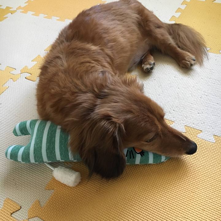 17e46a96 147a 44e3 b989 56e43b734b40 1531229685338