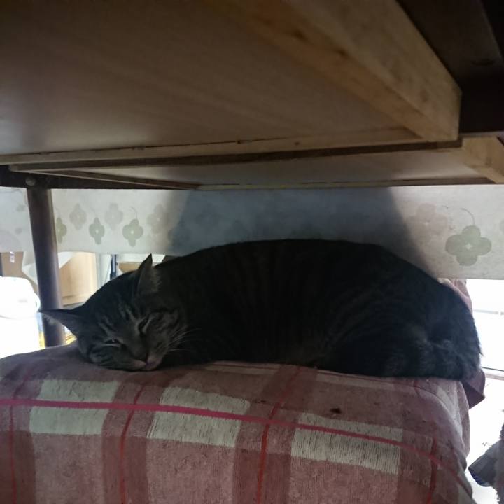 17e476fb be53 4070 ab67 e04babe48c25 1644789011385