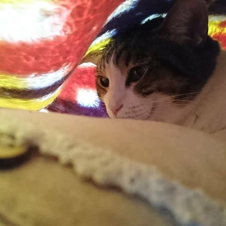 17e4e1ca 771d 45e1 b13d 81f8bb6107a9 1540857932817