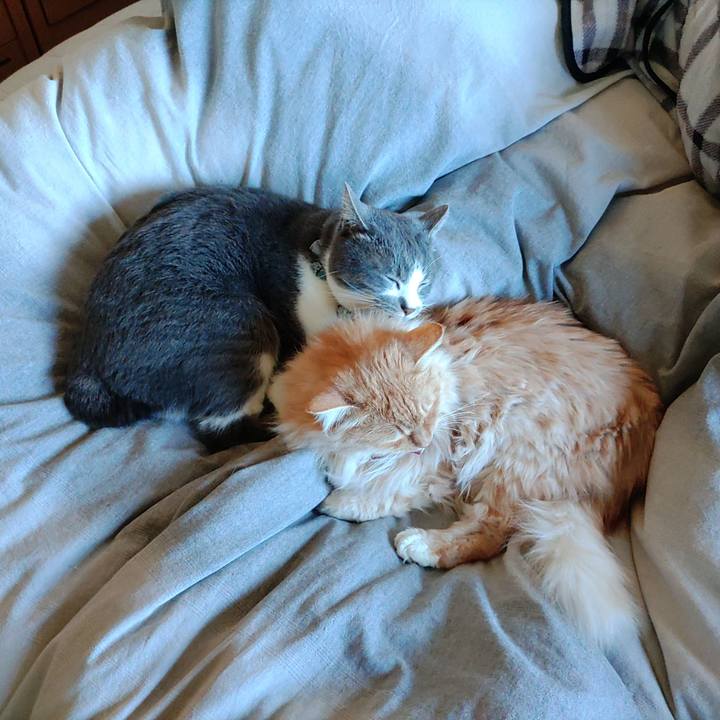 17e4f501 4a5d 481d a30c 9ba74af28c4b 1675579437425