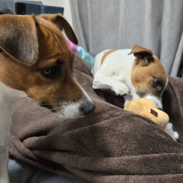 17e586d2 7bec 4e89 ad50 984a111bef9e 1762998451539