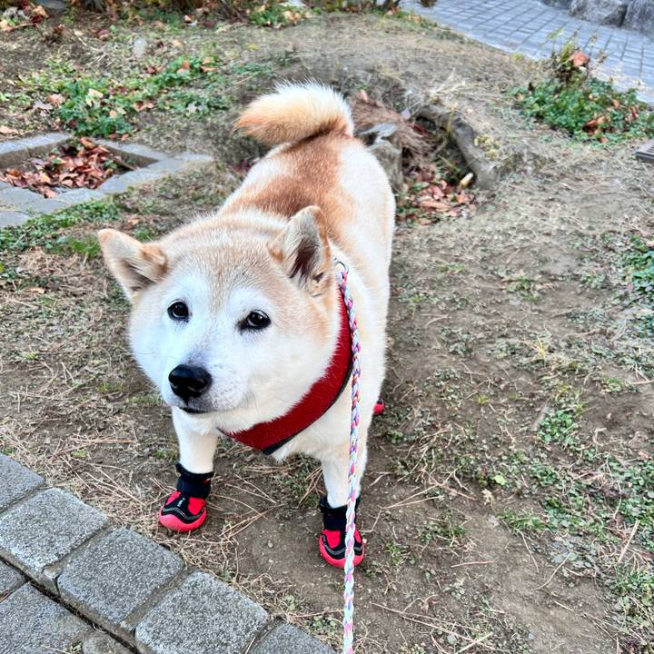 17e59aa1 0f8a 4ca3 b119 58f3a1f90140 1735983755662