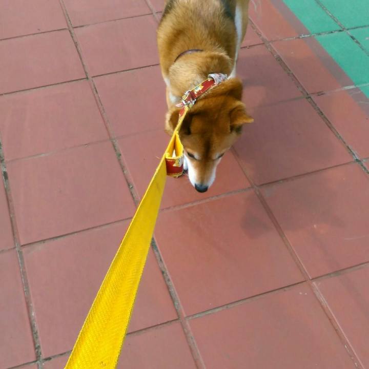 17e5c3c6 9e72 4127 be67 2f7855ee1795 1524806982700