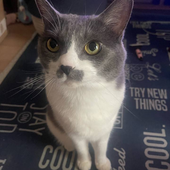 17e5ea84 cdd6 4c53 9010 9cf8695e5879 1719108919294