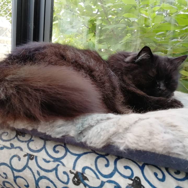 17e5ef3d 8c7d 4301 8042 51c6bfcf0fd7 1527913955756