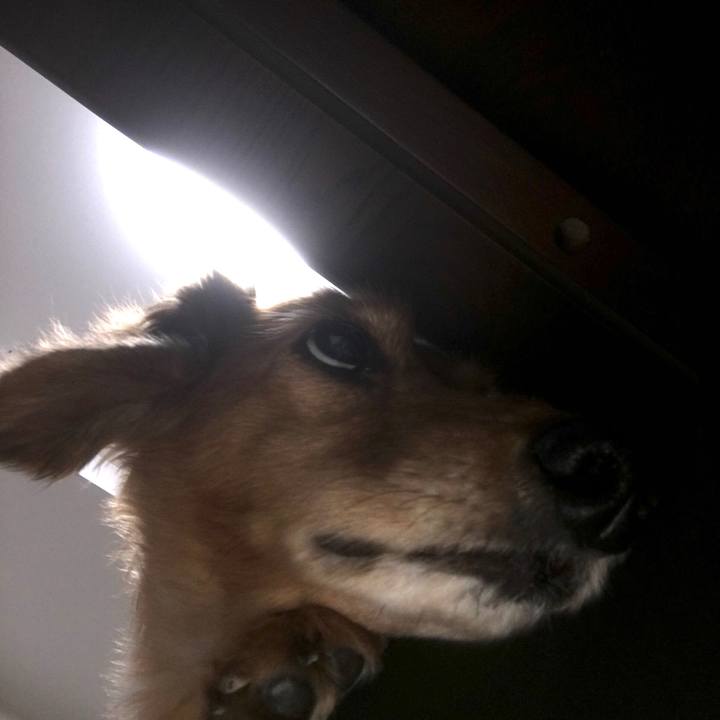 17e60582 aa76 4102 aab8 9cbcb36f5c40 1581081372496