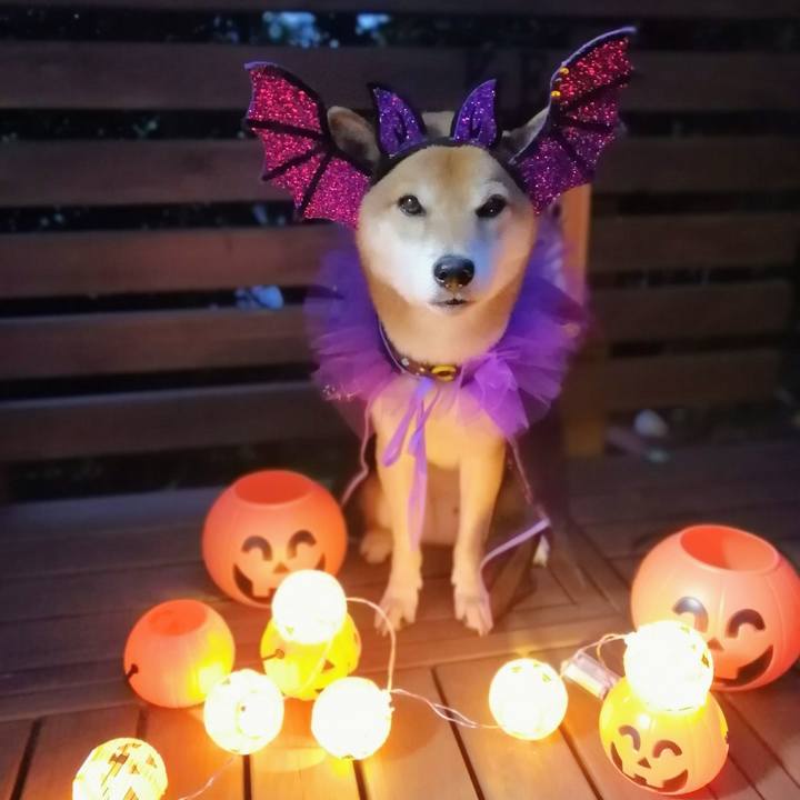 17e6383c d1ef 4625 b015 d723e16249c0 1632995939293