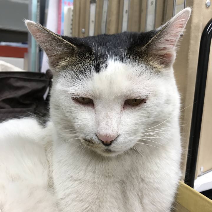 17e64a23 b3fa 4d92 9b9f c009f0254a47 1549614996359