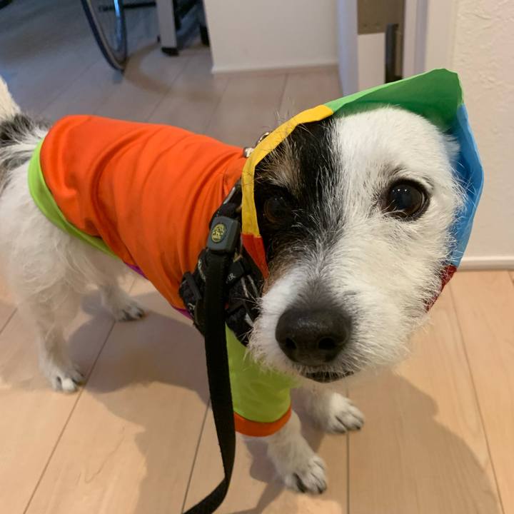 17e64fc2 3ca0 4189 9aa7 95baf26eea29 1747448699447