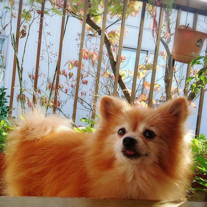 17e65039 583b 49d4 bbff 5d555e35b4f1 1572648455533