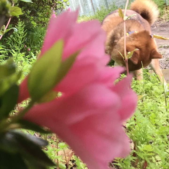 17e65cd0 8e52 48bf 9086 ee57006cb4a3 1587110396734