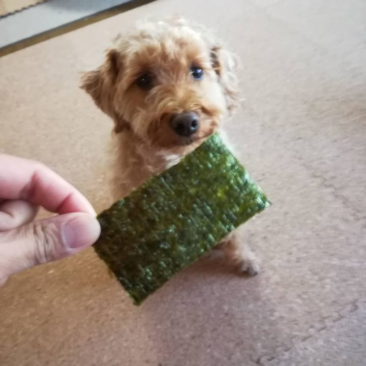 17e666c4 551a 4aa9 87bd 8e7b37ef963e 1526423052669