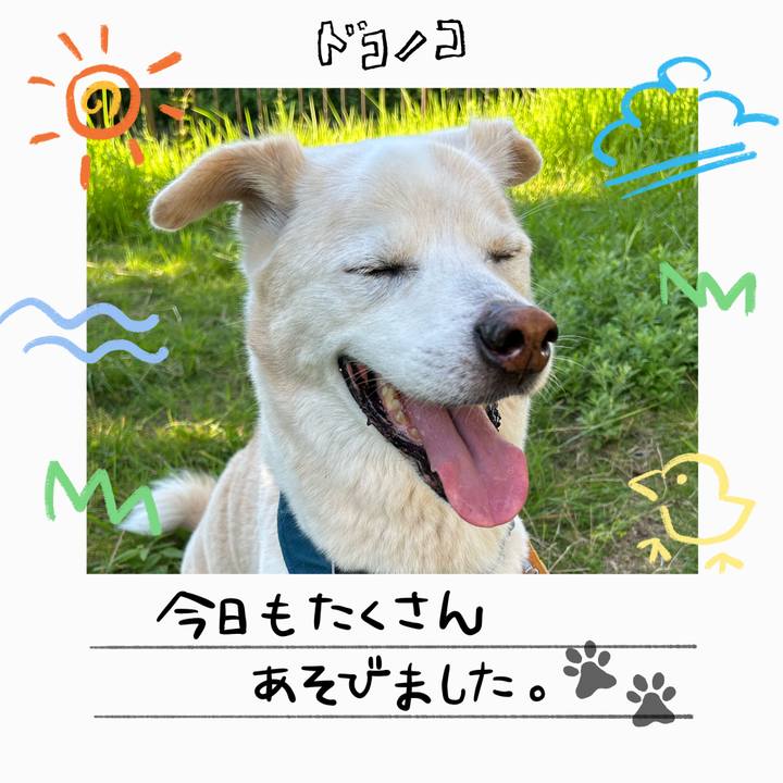 17e67a7c 6afd 450e 94e3 d22036b62d7c 1755058322484