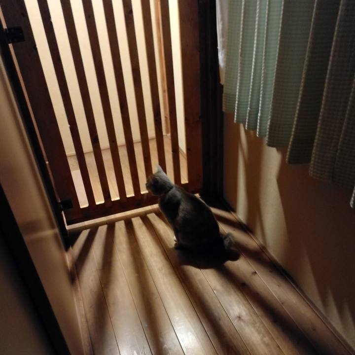 17e707fe 8b73 4e52 af67 c7a484c72747 1554254784656