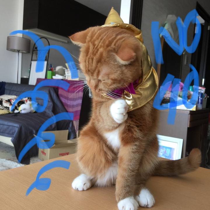 17e7275d bd4d 4eec b9fa f9f8a180f3b8 1540019317211