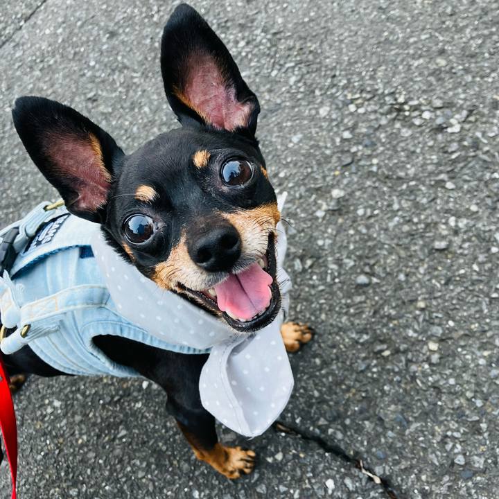 17e780e6 2950 4fd2 95fe 76ad6cd071a3 1756159511166