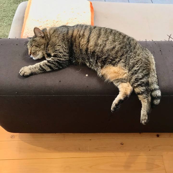 17e7fd83 8861 4961 8b31 19ba0334dffa 1632393544791