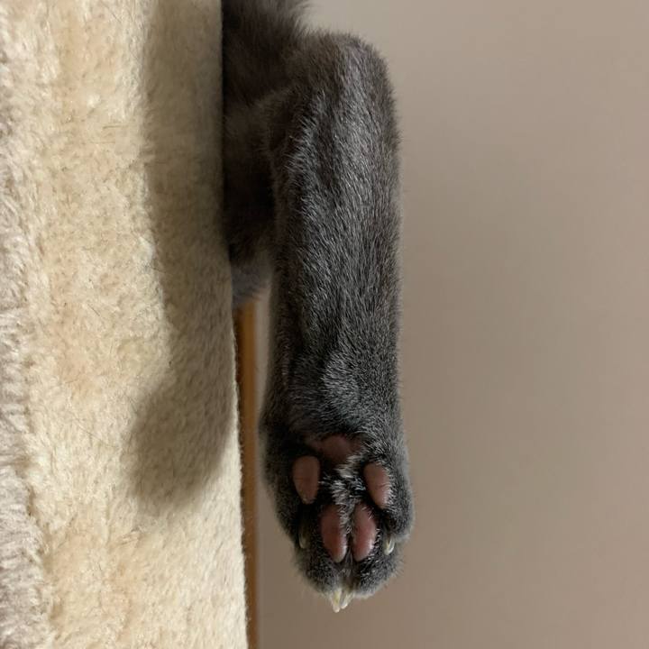 17e812f2 b160 452b 83ad 2c28b6a33759 1661593552037