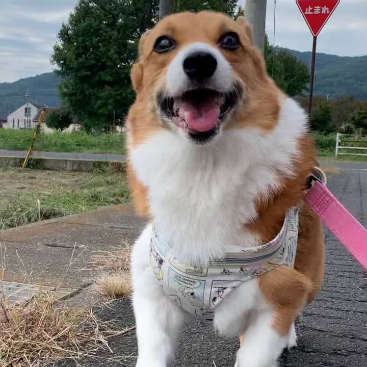 17e854f9 b658 4791 9f4f ad6c5a6f0d43 1666411019958