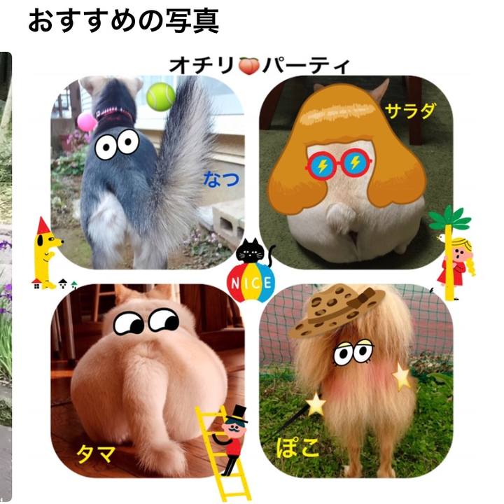 17e859b9 84fa 4ba4 9189 c2a420f43d30 1540553188207